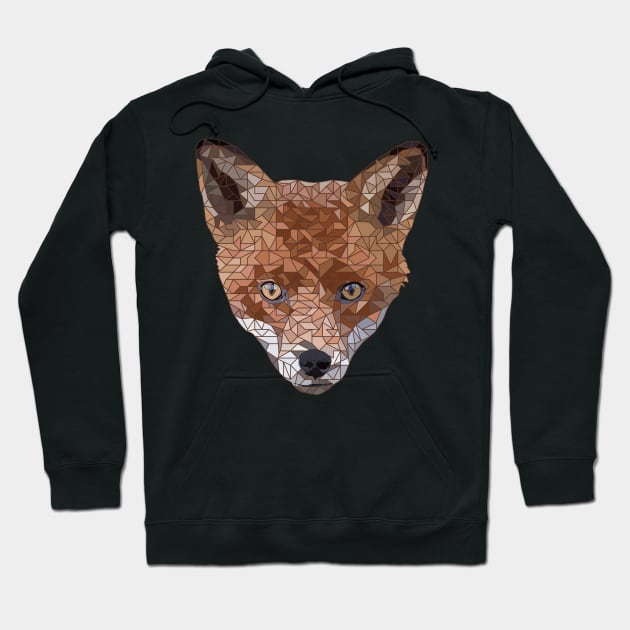 Felix the Fox Hoodie by DavidASmith